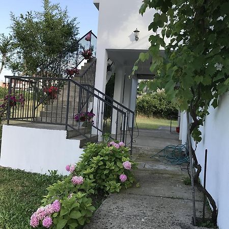 Apartmani Dragana Херцег Нови Екстериор снимка