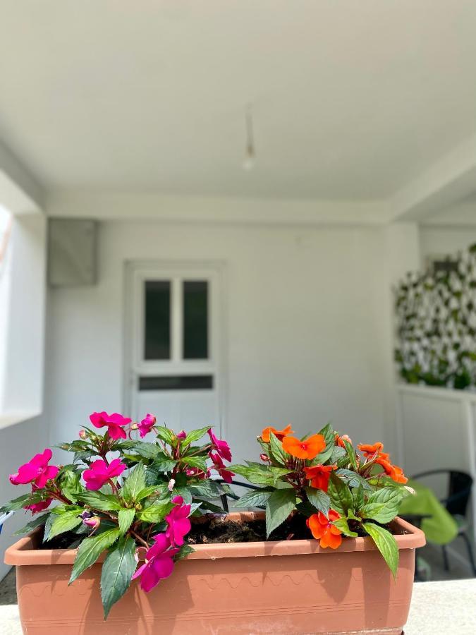 Apartmani Dragana Херцег Нови Екстериор снимка