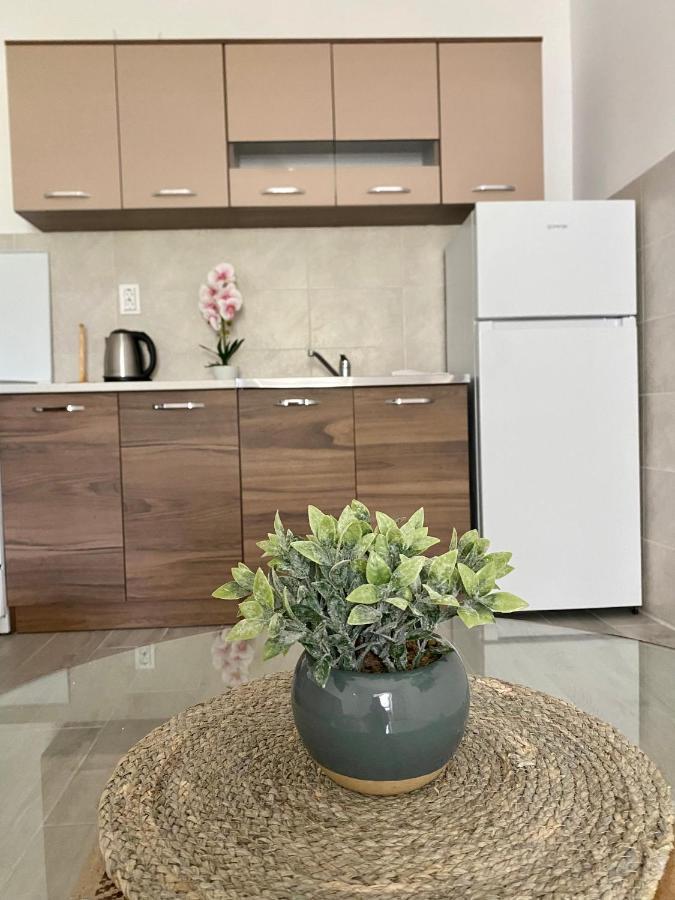 Apartmani Dragana Херцег Нови Екстериор снимка