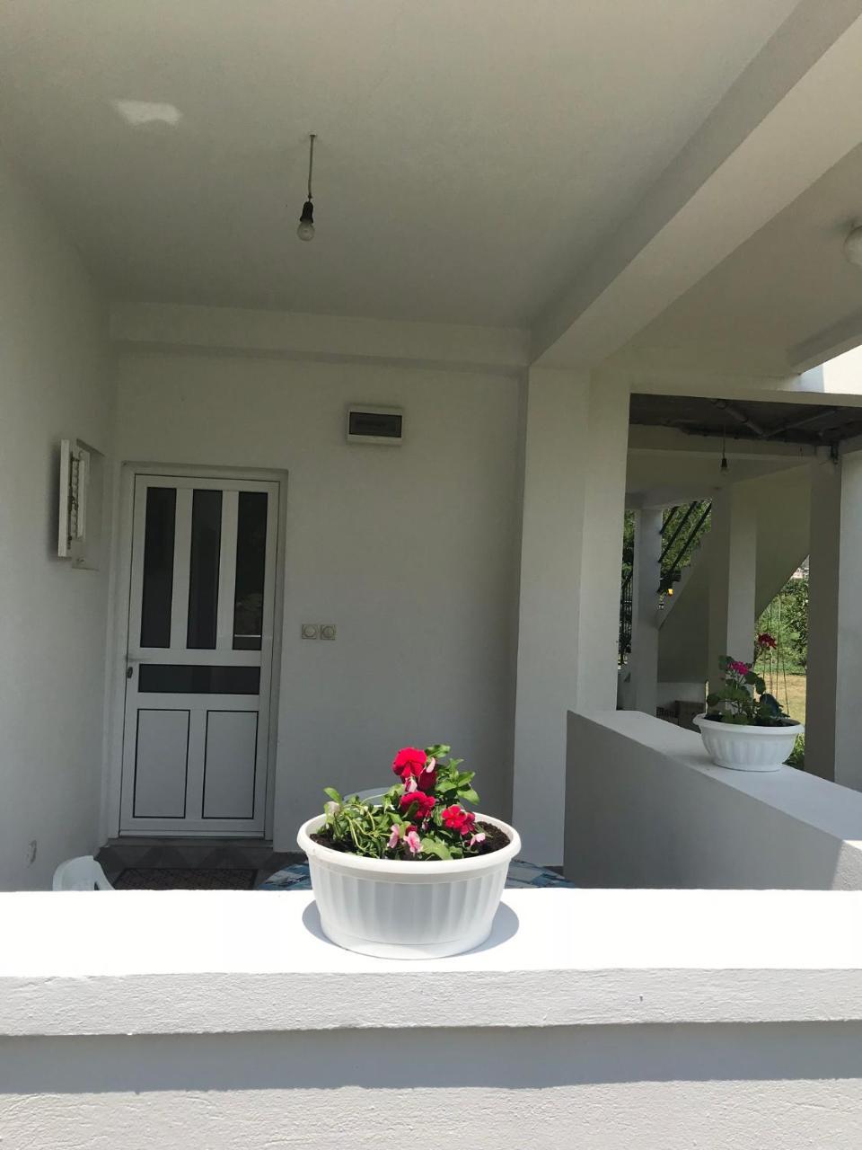 Apartmani Dragana Херцег Нови Екстериор снимка