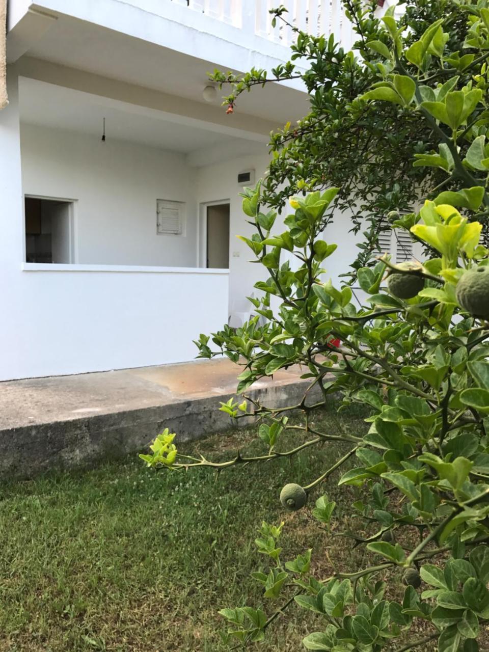 Apartmani Dragana Херцег Нови Екстериор снимка