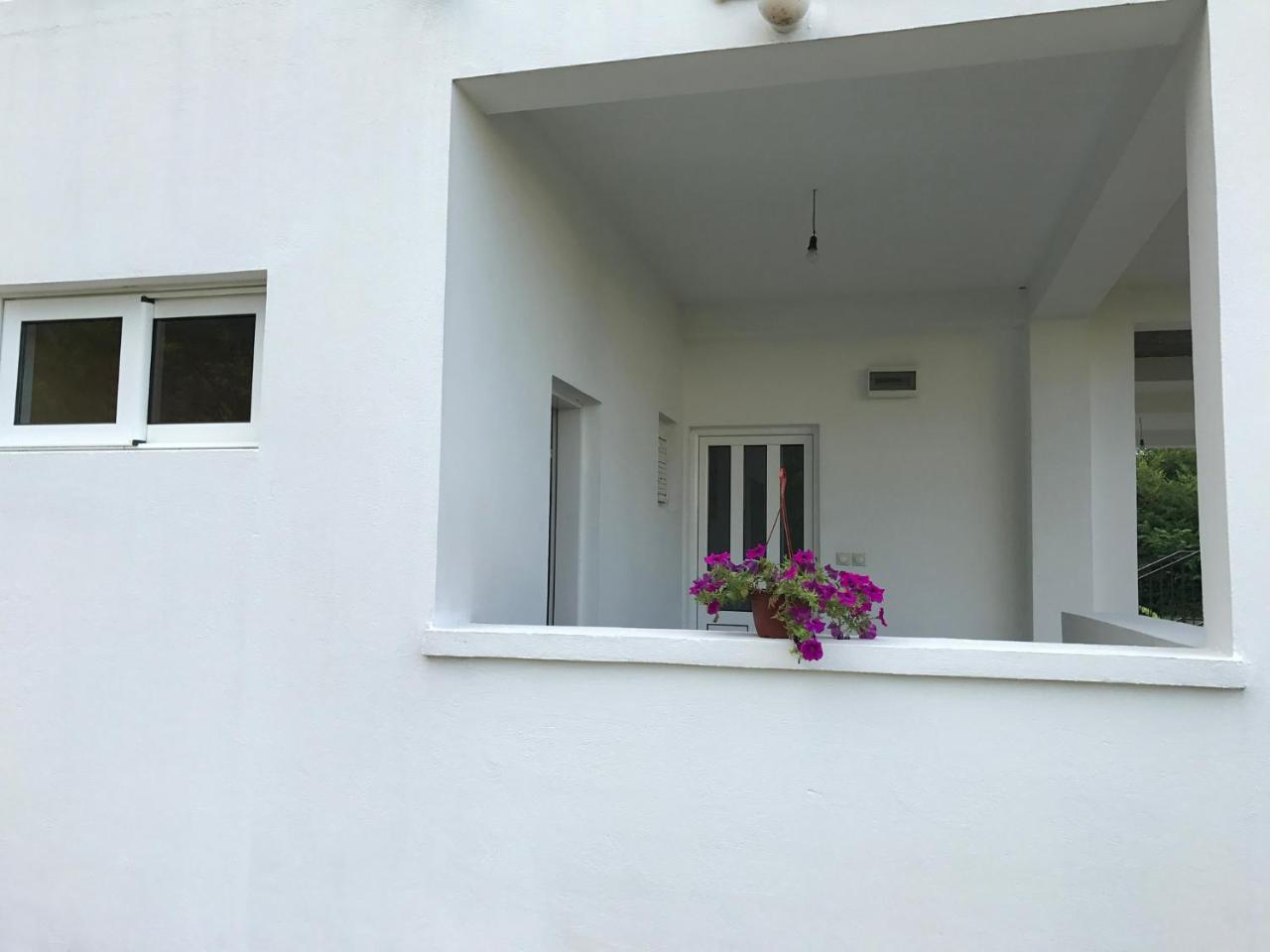 Apartmani Dragana Херцег Нови Екстериор снимка